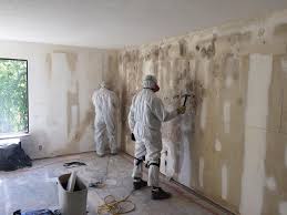 Professional Mold Inspection in Dinuba, CA